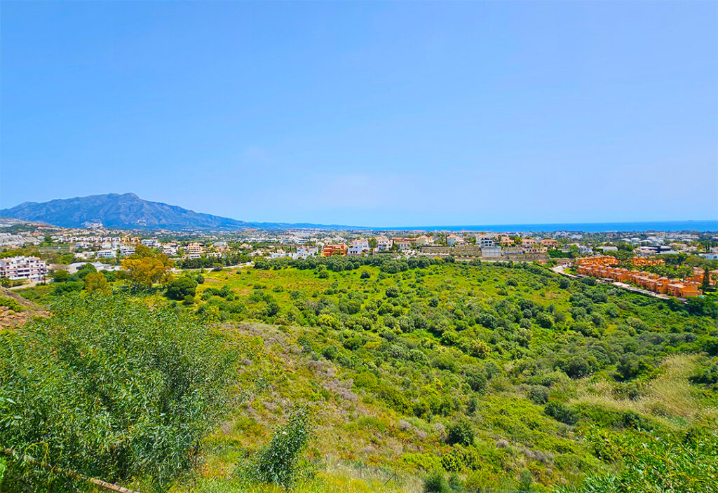 Real estate Costa del sol